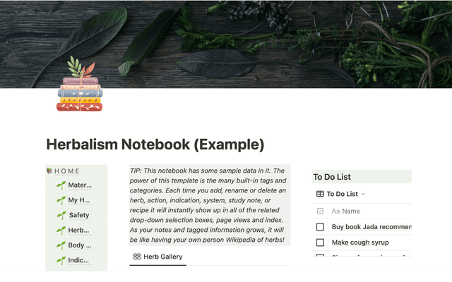 Herbalist Notebook (Materia Medica)